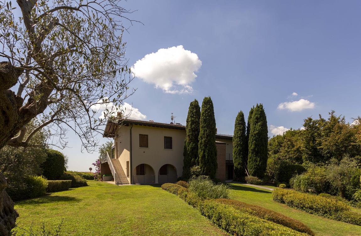 The lawn and cypresses looking back at the house